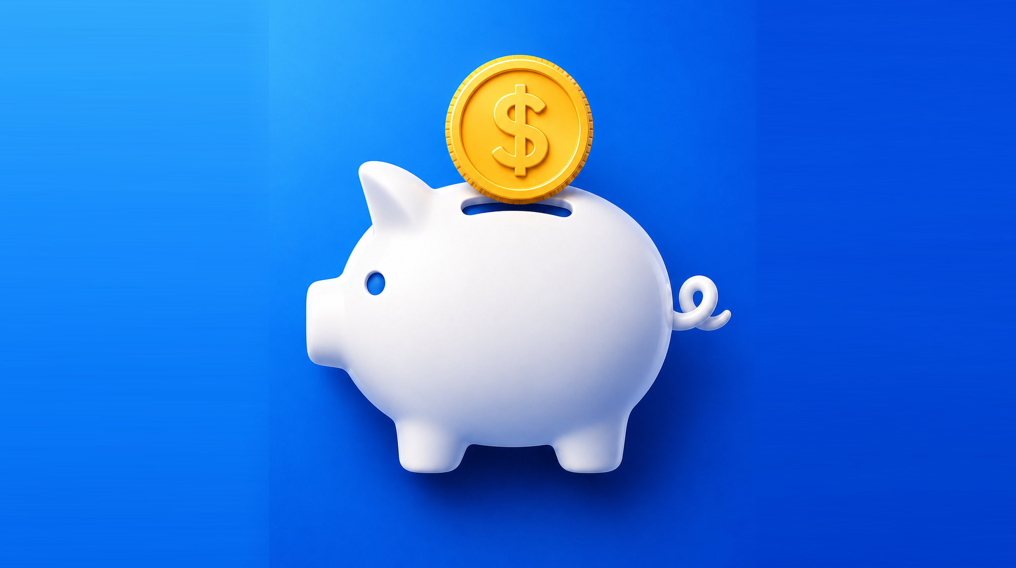 PayPing app preview